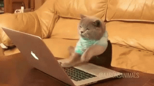 a chubby gray cat in a blue stipped shirt, furriously banging it's paws on a laptop keyboard